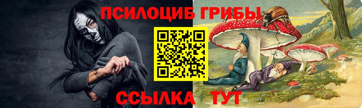Балашиха  Псилоцибиновые грибы Psilocybine cubensis  Вход с VPN 