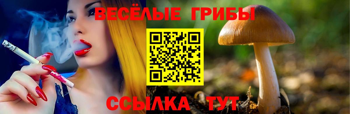 Галлюциногенные грибы Psilocybine cubensis Балашиха